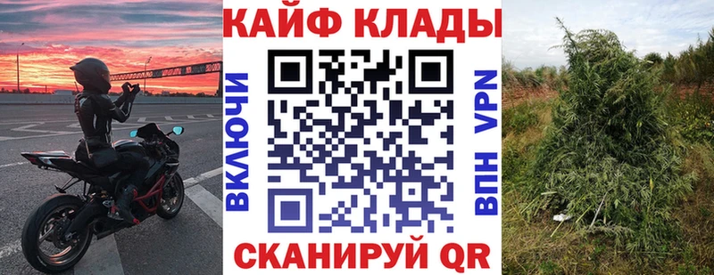 Купить наркоту Юрьев-Польский Alpha-PVP  Cocaine  Мефедрон  ГЕРОИН  Псилоцибиновые грибы  ГАШ  Марихуана 