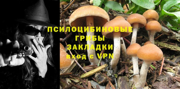не бодяженный Арсеньев