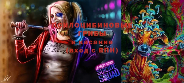 стафф Армянск