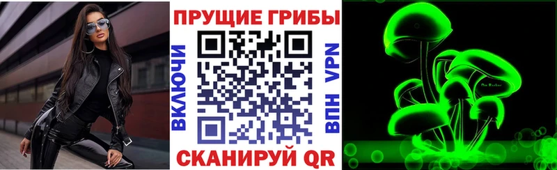 Псилоцибиновые грибы Cubensis  Юрьев-Польский 